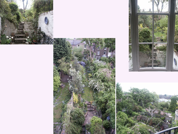 Garden from above